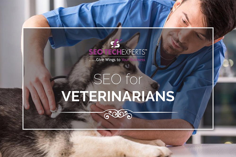 SEO Services for Veterinarians in Mumbai